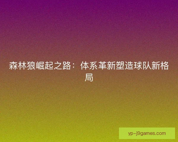 森林狼崛起之路：体系革新塑造球队新格局